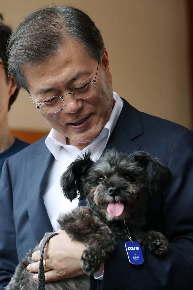 2017年7月，文在寅在动保团体的推荐下，收养一只4岁的黑色米克斯犬「托里」，赋予牠「南韩第一犬」的称号，并承诺政府将大力解决流浪动物的政策问题。（欧新社资料照）(photo:LTN)