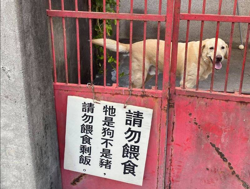 鄰居會把餿水廚餘倒進圍牆內餵狗，造成環境髒亂，更恐怕會影響狗狗健康。（圖取自臉書＿爆料公社）