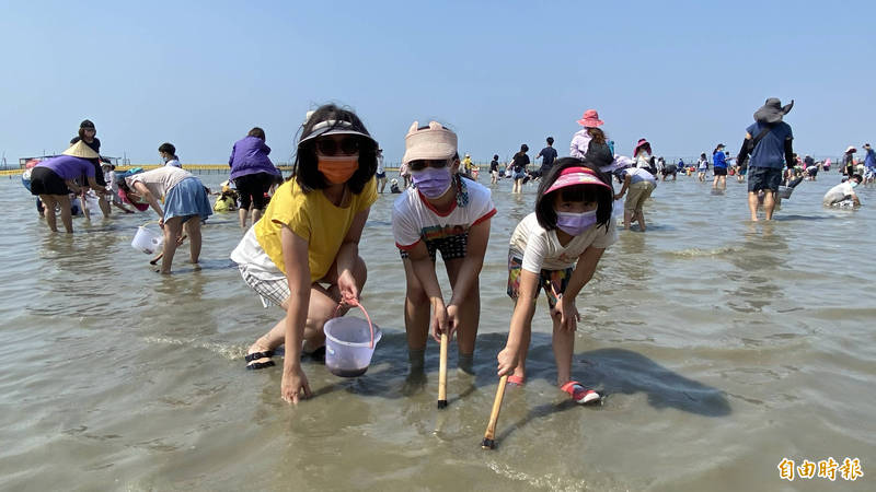 七股海鮮節觀觀光赤嘴園今天起開園，首日有1500名親子下水體驗摸蛤兼洗褲，非常好玩。（記者楊金城攝）