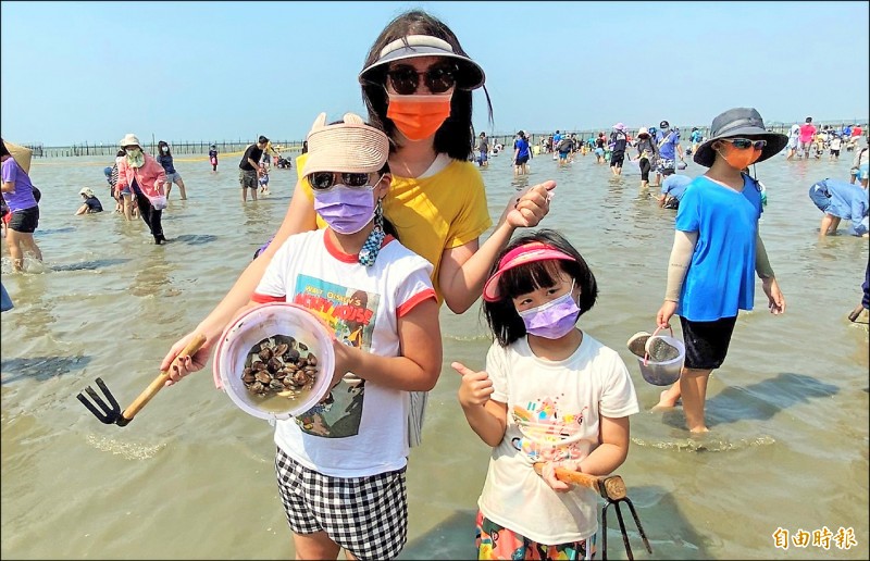 台南七股海鮮節昨天推出觀光赤嘴園挖文蛤體驗活動，開放遊客進入退潮的七股潟湖體驗摸蛤兼洗褲的樂趣。（記者楊金城攝）