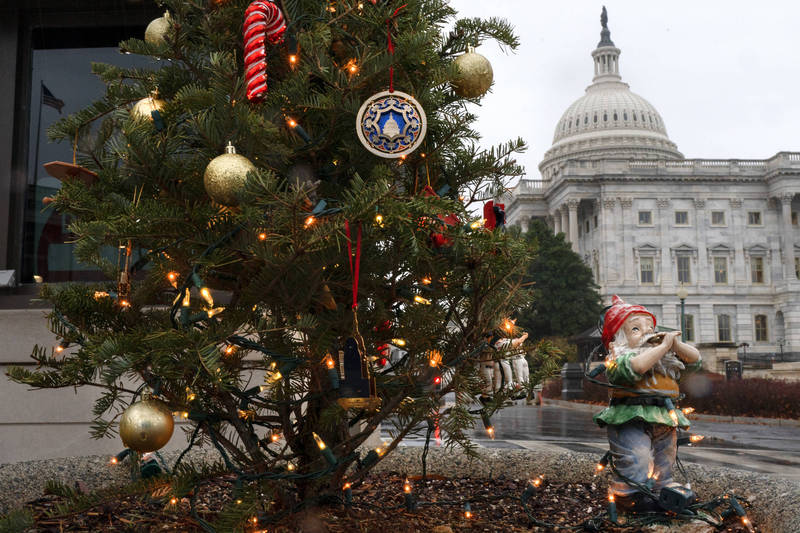美國聖誕樹協會表示各大零售店今年的聖誕樹恐將有限供應。（美聯社）