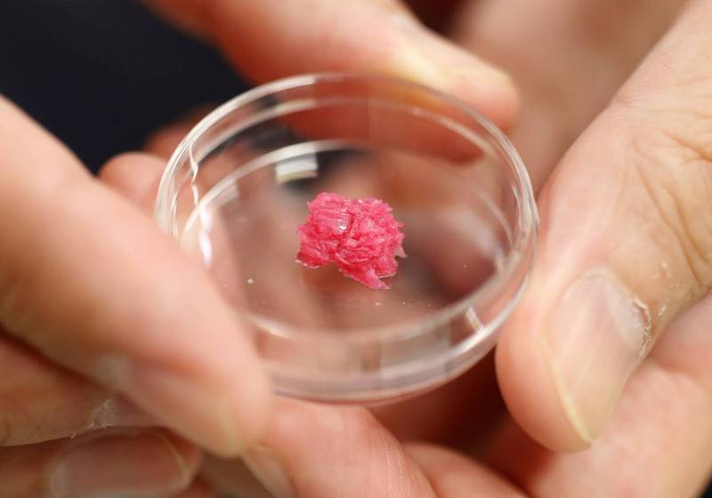 日本科学家目前正在开发新技术，透过3D生物列印与和牛干细胞培育，从实验室直接生产和牛肉，希望在5年内向大众销售，让价格变得更加经济实惠。（路透）(photo:LTN)