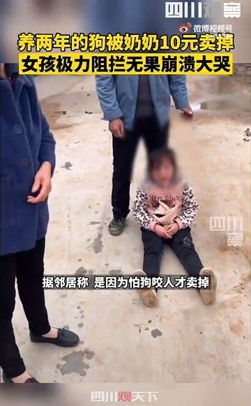 中国一名女童养了两年的小狗被祖母用44元卖掉，女童阻止无果坐地痛哭。（图翻摄自微博）(photo:LTN)