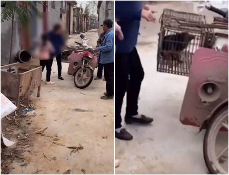 中国一名女童养了两年的小狗被祖母用44元卖掉，女童阻止无果痛哭，让网友不舍。（图翻摄自微博）(photo:LTN)