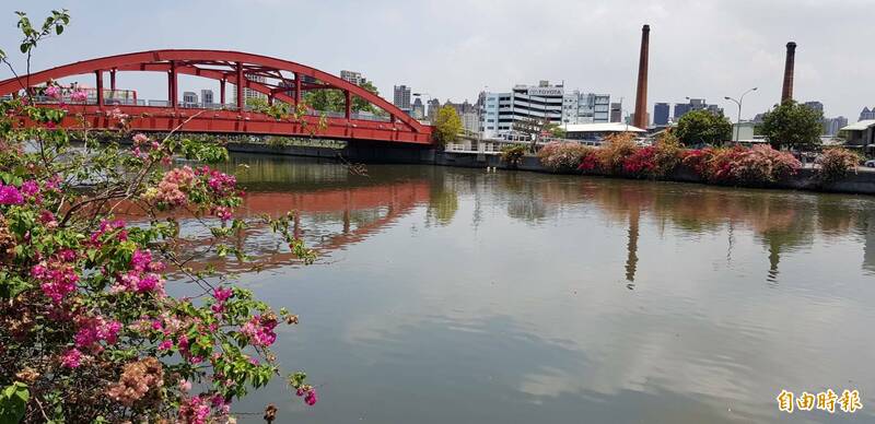 愛河建國橋到中都橋段保留九重葛。（記者陳文嬋攝）
