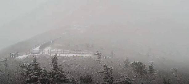 南韓江原道雪嶽山國家森林公園19日上午觀測到初雪。（圖翻攝自推特）