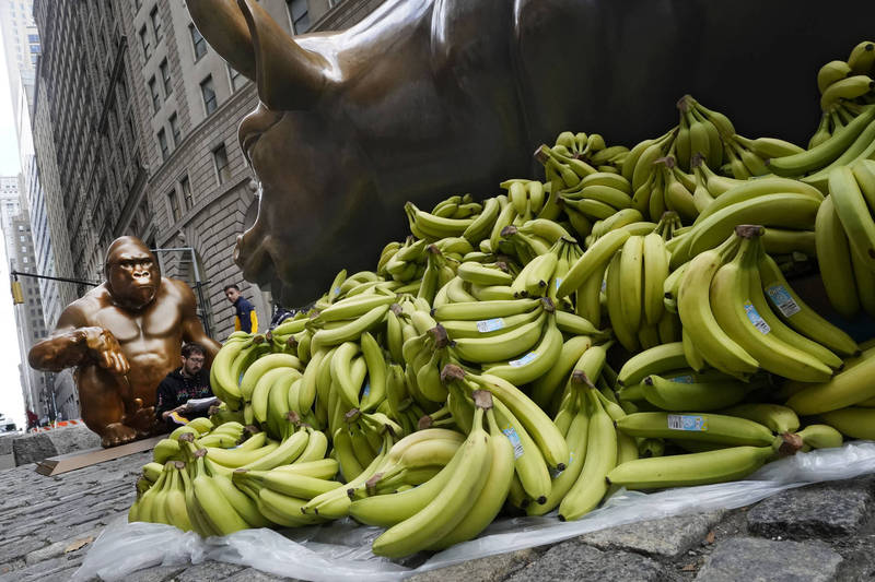 一万根香蕉，之后会捐赠给当地食物银行和社区冰箱。（法新社）(photo:LTN)