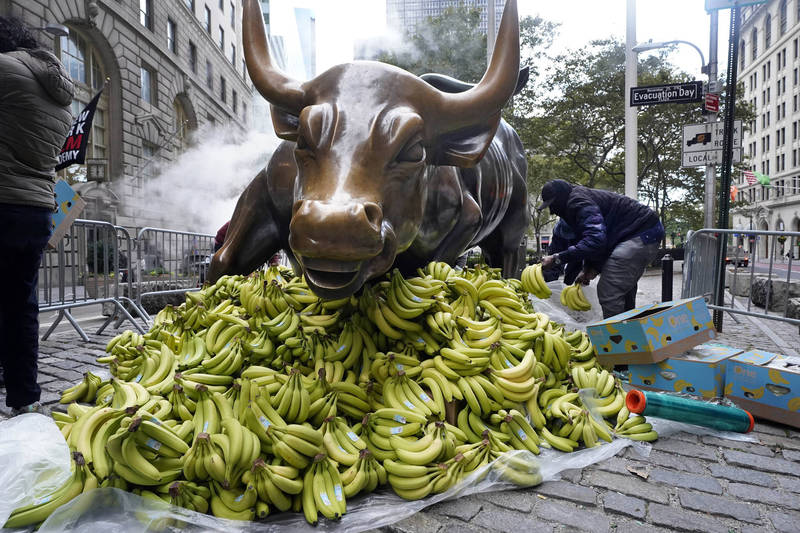铜牛身边散落了1万根香蕉，暗示了华尔街的富人们操弄着资本市场。（法新社）(photo:LTN)