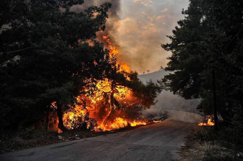叙利亚去年发生森林大火，当局如今处决24名纵火犯。（路透）(photo:LTN)