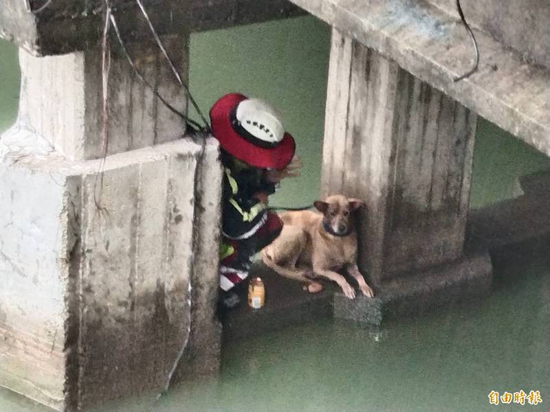 周姓義消利用垂降方式，救援受困橋墩的犬隻。（記者吳昇儒攝）