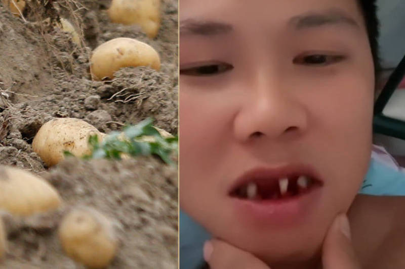 中国江西男子效法电影《长津湖》中吃「冻土豆（冷冻马铃薯）」的情节，最后到医院拔了3颗牙齿，惨痛教训令他向大众唿吁不要轻易学习。马铃薯示意图。（图取自中国微博、美联社；本报合成）(photo:LTN)