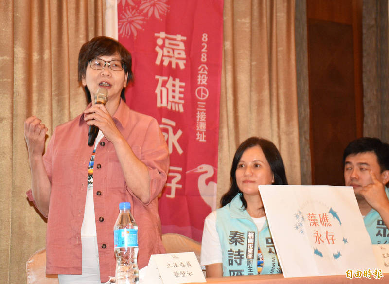 民眾黨立委蔡壁如桃園宣傳公投，堅定民眾黨立場「兩好兩壞」。（記者李容萍攝）