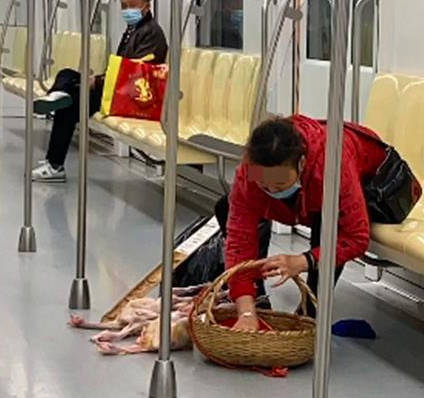 南京地铁上一名身穿红衣的大妈公然摆摊卖鸡引起网友关注，南京地铁今（7）日回应，该名乘客的行为已违规，将进行调查。（图取自微博）(photo:LTN)