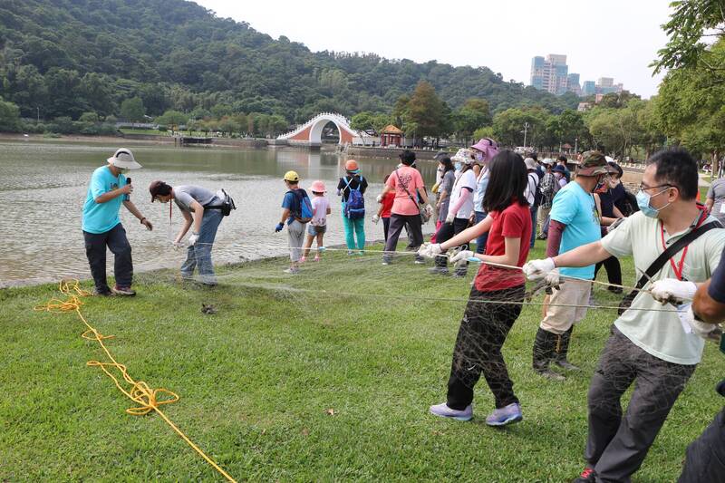 台北市公園處與財團法人台灣海洋保育與漁業永續基金會、內湖社大攜手號召40多名志工，移除大湖公園內的1277尾超過30公分的外來魚種。（台北市公園處提供）