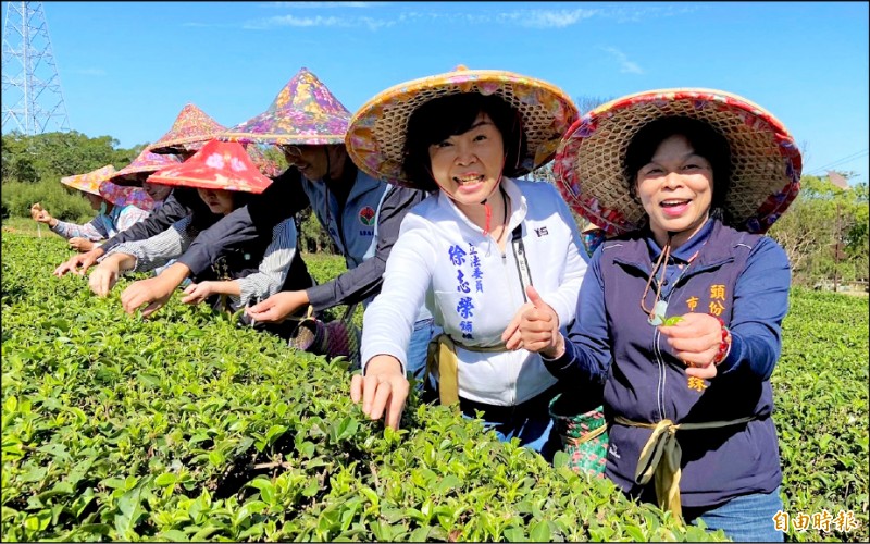 首屆「頭份菁採茶歌節」規劃茶主題小旅行、寫生比賽、農創市集及菁採茶歌音樂會。（記者彭健禮攝）