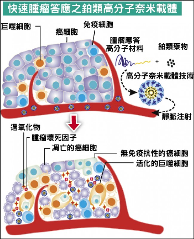 奈米級抗癌新藥抑制腫瘤達雙效- 新知傳真- 自由健康網