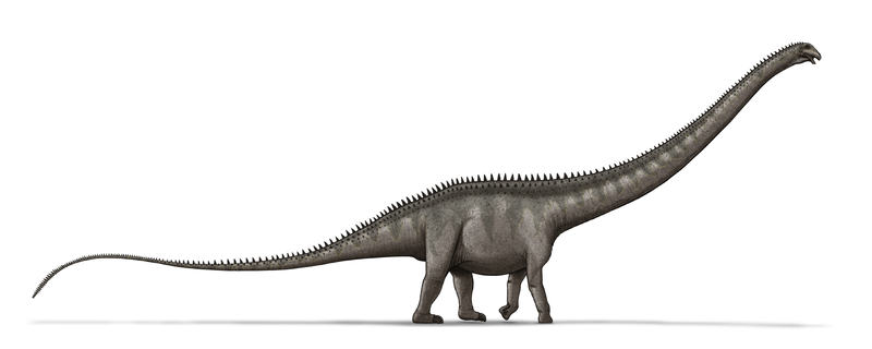 超龍最新估計長度可能長39-42公尺，有望成為目前已知世界上最長恐龍。超龍復原圖。（圖擷自Wiki）