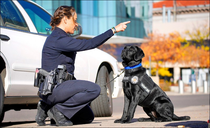 丹佛警官吉利安和治療犬雪爾碧合影。（美聯社）