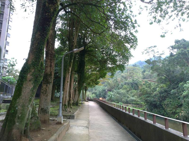 位於新烏路上的青潭河濱公園，擁有林蔭河濱步道，隨時能沐浴在芬多精中。（圖由新北市綠美化環境景觀處提供）