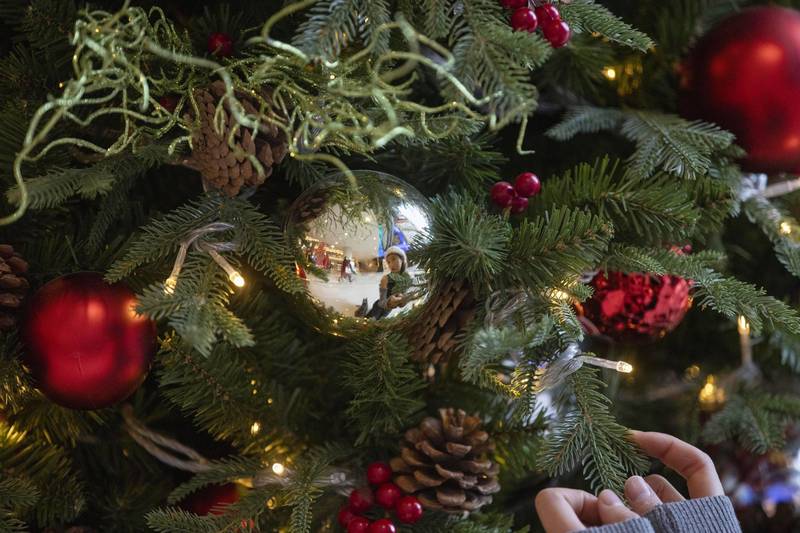 英國1名女子網購耶誕樹，最後卻只收到1根「樹枝」。示意圖，與新聞無關。（歐新社）