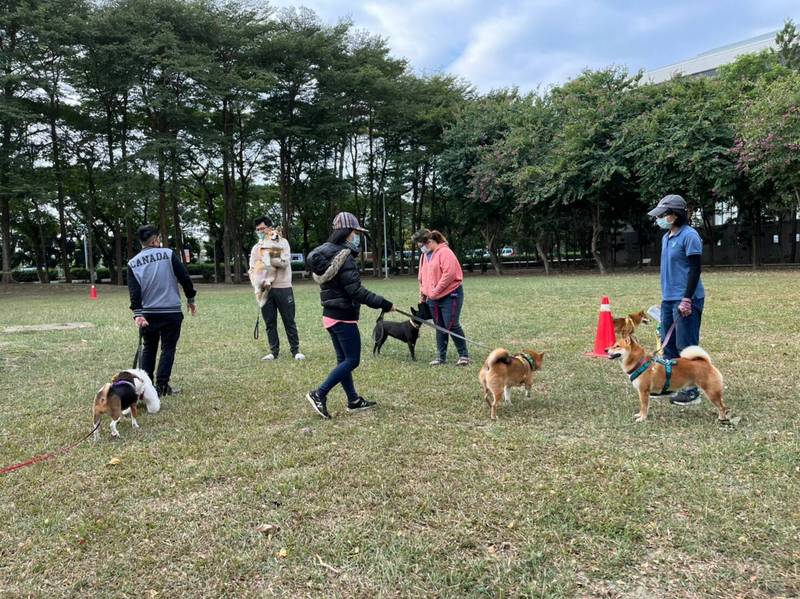 新營體育場有大片草皮綠地，但禁止遛狗，南市議員李宗翰今與飼主發聲爭取設置寵物公園，讓毛小孩有盡情奔跑空間。（李宗翰服務處提供）