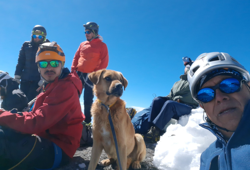 墨西哥1隻狗狗受困海拔5636公尺山頂，男子得知後率領30名登山客前往救援。（圖擷取自臉書_Layo Aguilar）