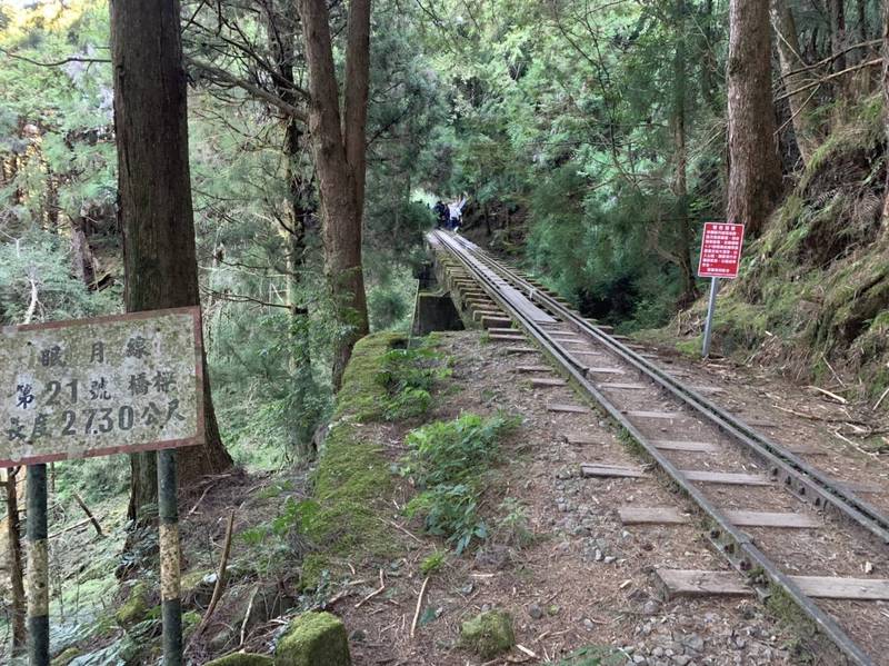 阿里山林鐵支線眠月線傳有女登山客走失，幸遇到他團登山客協助支援，目前人平安。（資料照）