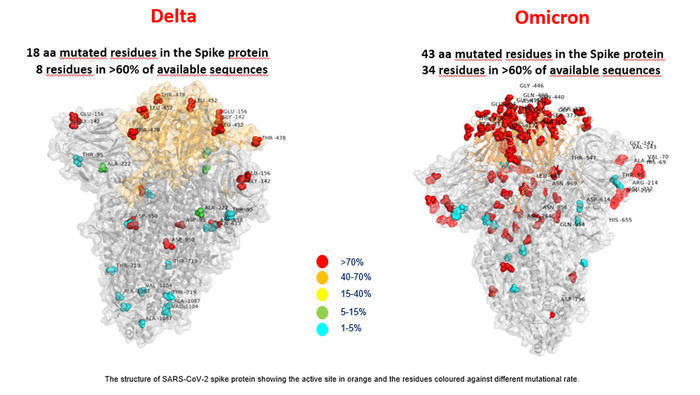 Omicron與Delta變異對比圖。（UFFICIO STAMPA BAMBINO GESU'ANSA）