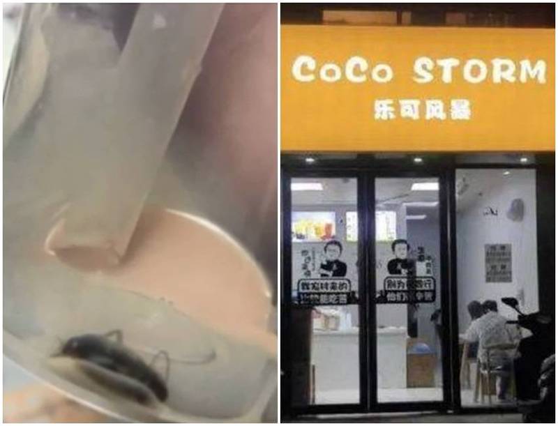 中國一名女子點了中國山寨版CoCo的飲料，竟發現杯底有隻蟑螂。（圖翻攝自微博）