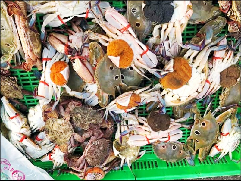 鄭同僚在馬公魚市場，發現整籃販賣俗稱「開花母蟹」的抱卵母蟹。（鄭同僚提供）