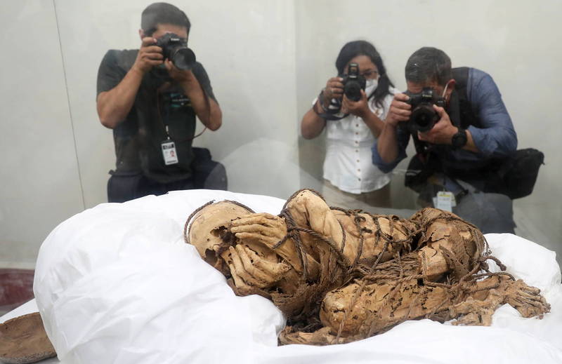 秘魯一具木乃伊於上月26日出土，初判約有800年至1200年歷史，其全身蜷曲被繩索捆綁，雙手遮住半張臉，動作詭異，昨正式於大學內公開展出，畫面十分驚悚。（路透）