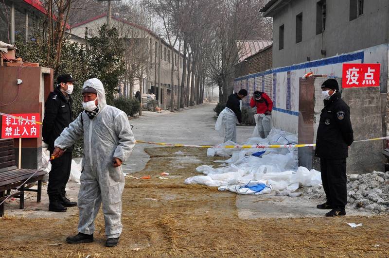 驚！中國廣東傳出男子確診禽流感H5N6