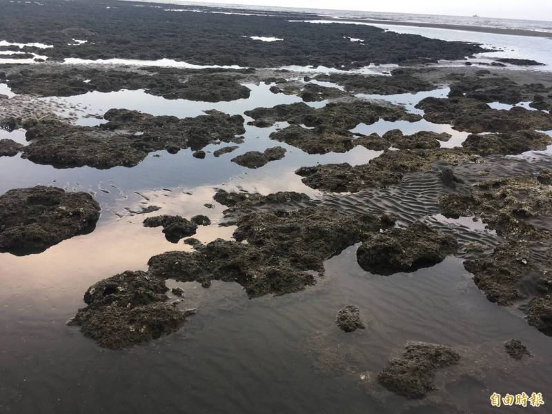 「珍愛藻礁」公投案未通過，中油第三天然氣接收站不必遷址。（資料照）