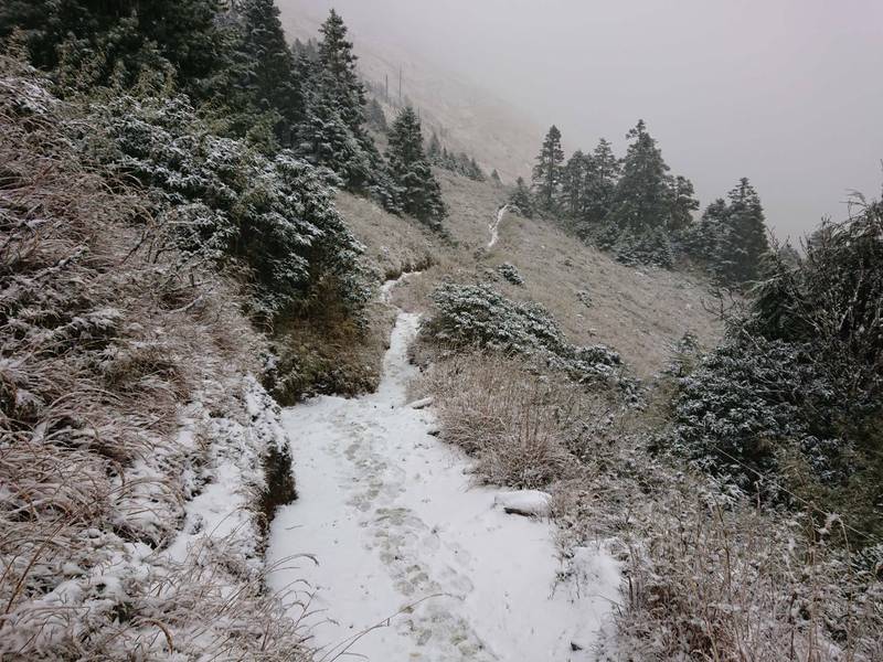 雪霸三六九山莊以上持續降雪，積雪已達5公分（保育志工張玉蓮提供）