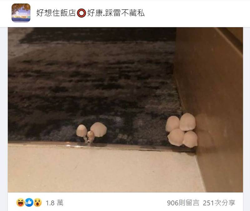 網友入住知名五星級飯店驚見房內出現「角落生物」，忍不住拍下PO網，意外引發熱議。（翻攝自臉書社團《好想住飯店，好康踩雷不藏私》）