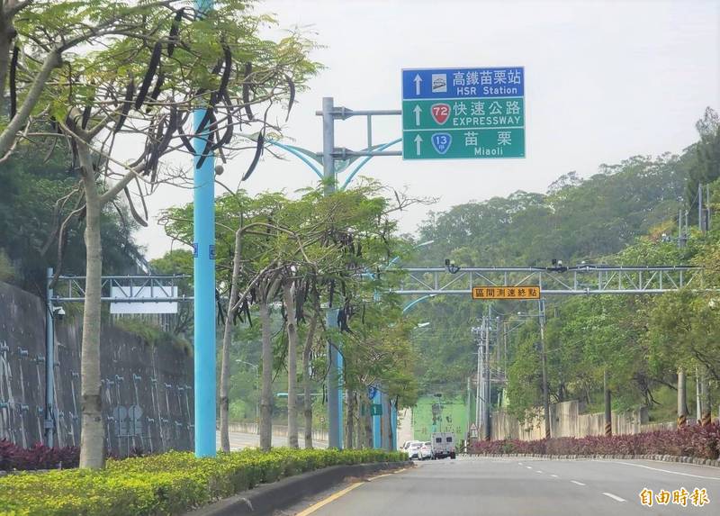 苗栗縣台13甲線造橋鄉冠軍磁磚到大衛營路段，中央分隔島路樹為鳳凰木，時值豆莢垂掛。（記者彭健禮攝）