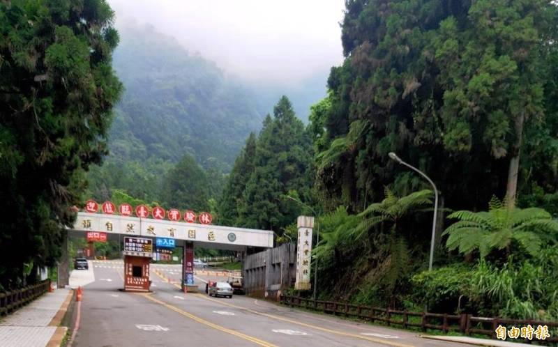 台大實驗林管處轄下的溪頭自然教育園區擁有豐沛山林資源，深受遊客喜愛。（記者謝介裕攝）