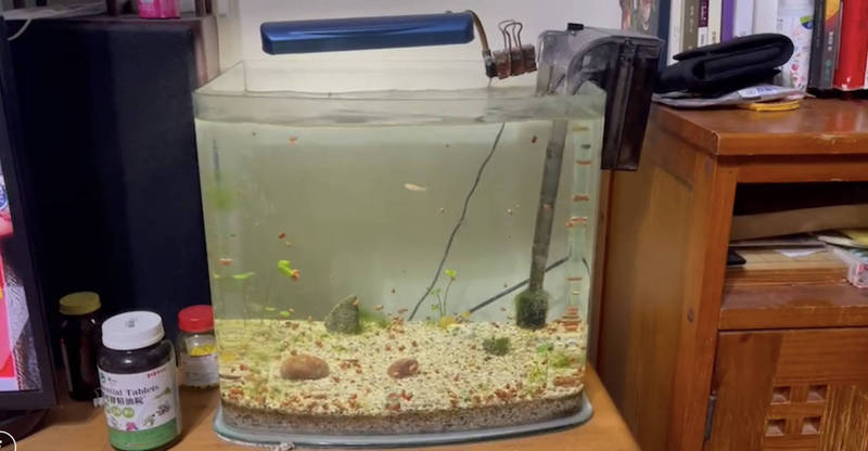 宜蘭民眾家中魚缸，因地震晃動，水都快噴出來。（民眾提供）