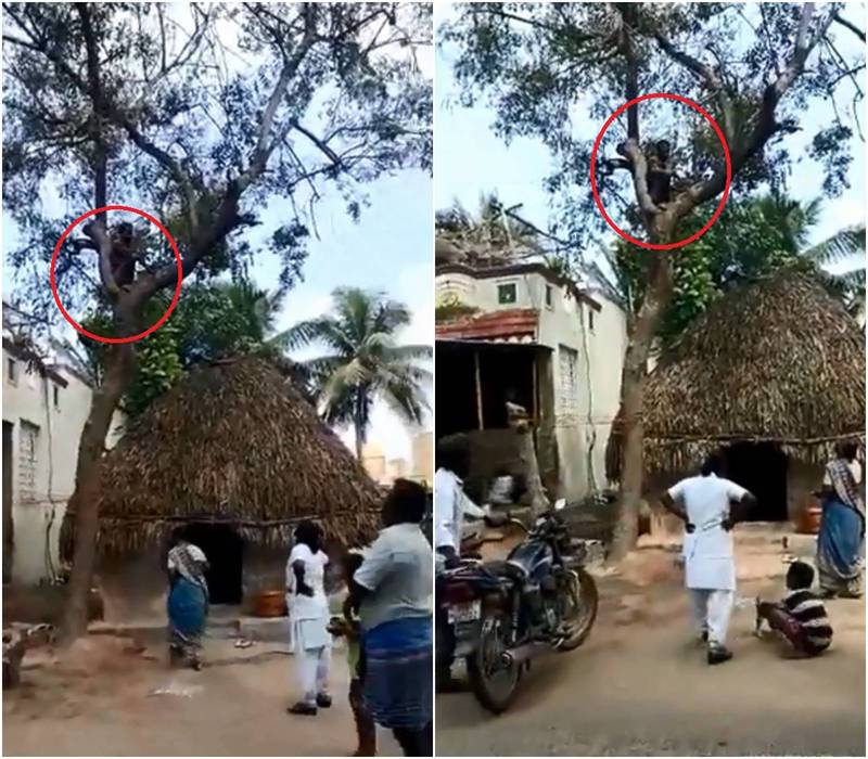 印度男子多維爾（紅框處）因不願打疫苗，每次醫護人員來訪時，他便以各種手段規避，這次竟乾脆直接爬到樹上。（圖擷取自＠@sanjusadagopan推特）