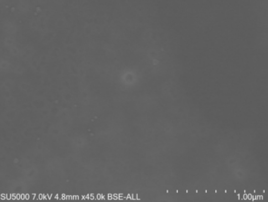 「B.1.640.2」变异毒株在显微镜下的观测画面。（图撷取自@IHU_Marseille官方推特）(photo:LTN)