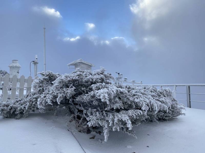 玉山7日晚間再出現降雪，玉山氣象站被厚厚白雪覆蓋，積雪2公分，猶如冰封世界。（玉管處提供）