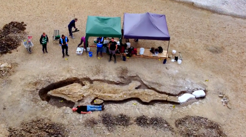 英國英格蘭拉特蘭湖（Rutland Water）水庫近日完成挖掘被暱稱為「海龍」的10公尺長史前魚龍（ichthyosaur）化石，距今有1.8億年歷史，被專家喻為英國考古史上最偉大的收穫。（圖擷取自水利公司Anglian Water官網）