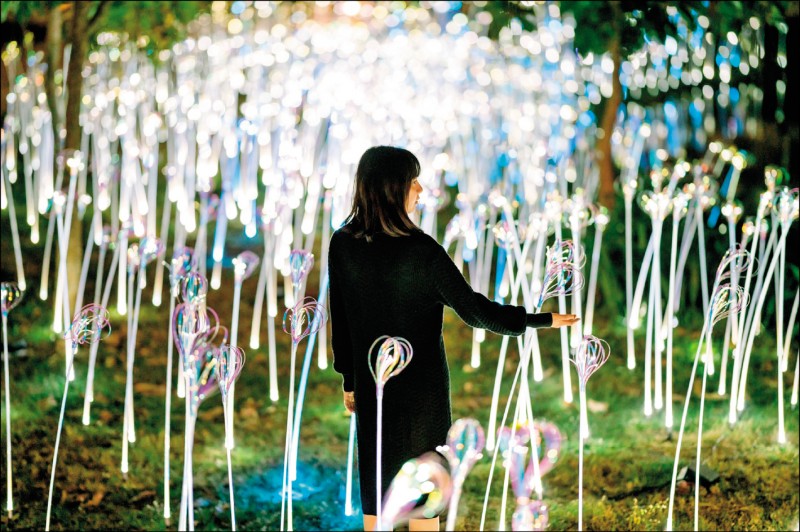 今年台灣燈會衛武營燈區最新亮相作品「植光．花」。（圖：高雄市觀光局提供）
