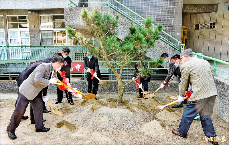 彰化高中創立八十週年，校友捐贈母校八棵松樹，眾人合力種在校園內。（記者林良哲攝）