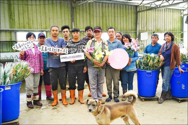 嘉義縣阿里山鄉花卉產銷班第四班獲選為全國優良農業產銷班。（嘉義縣府提供）