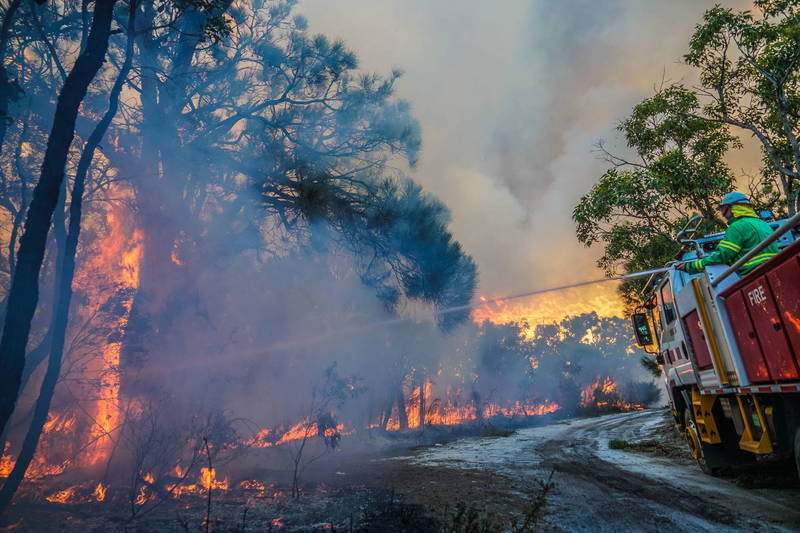 玛格丽特河镇附近的林地在2021年12月曾发生过大火。（欧新社）(photo:LTN)