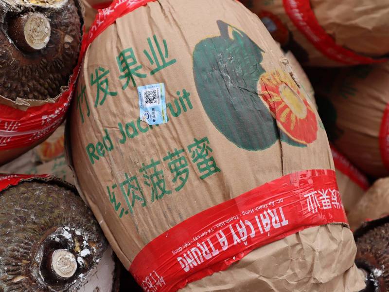 越南商人准备销往中国的波萝蜜都是高级货，却因中国卡关被迫低价抛售。（中央社）(photo:LTN)