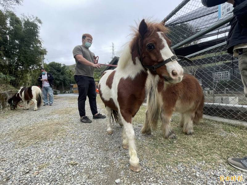 大湖可愛動物區開放免費參觀，另設愛心箱助弱勢。（記者蔡政珉攝）