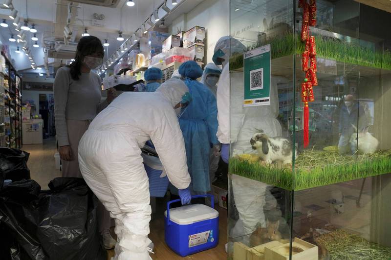 香港渔护署人员18日在传出疫情的铜锣湾一家宠物店内，展开扑杀动物的任务。（路透）(photo:LTN)