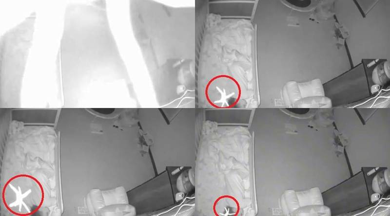 美國女子斯圖爾特日前透過「寶寶攝影機」觀看愛女睡覺的畫面時，意外發現一隻「巨型蜘蛛」垂降在愛女臉部。（圖擷取自＠emstewie17抖音，本報合成）